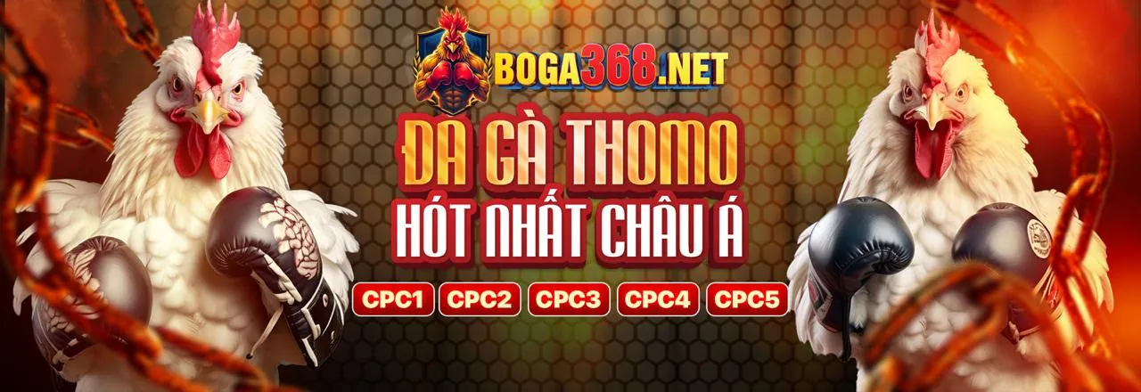 Các cấp độ VIP và lợi ích tại okwin nhà cái